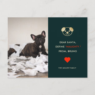 Define Naughty   Your Funny Dog Photo Holiday Card