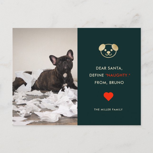 Define Naughty | Your Funny Dog Photo Holiday Card (Front)