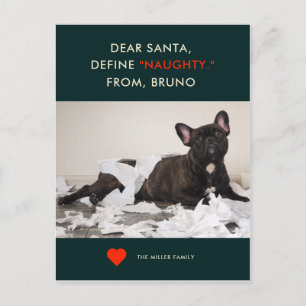 Define Naughty   Your Pet Photo Funny Holiday Card