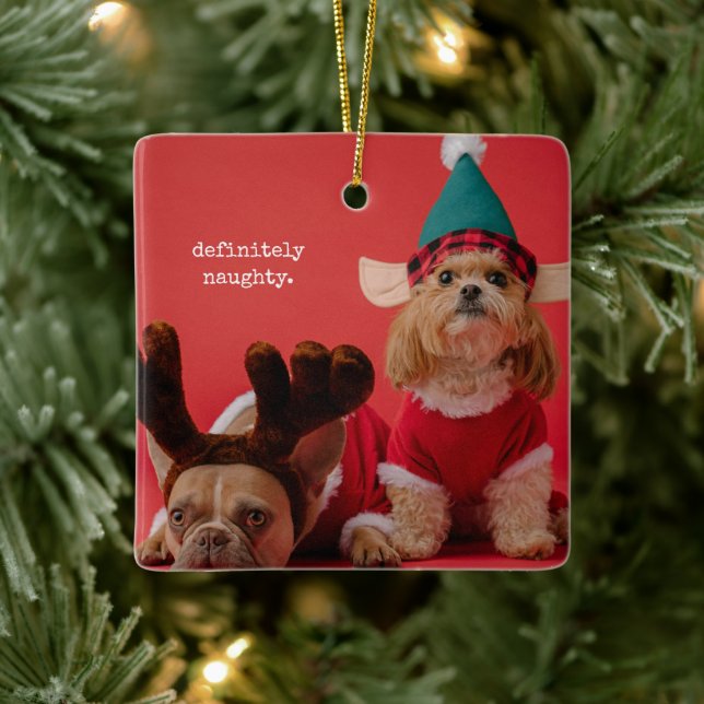 Definitely Naughty Pet Photo Cute Christmas Ceramic Ornament (Tree)