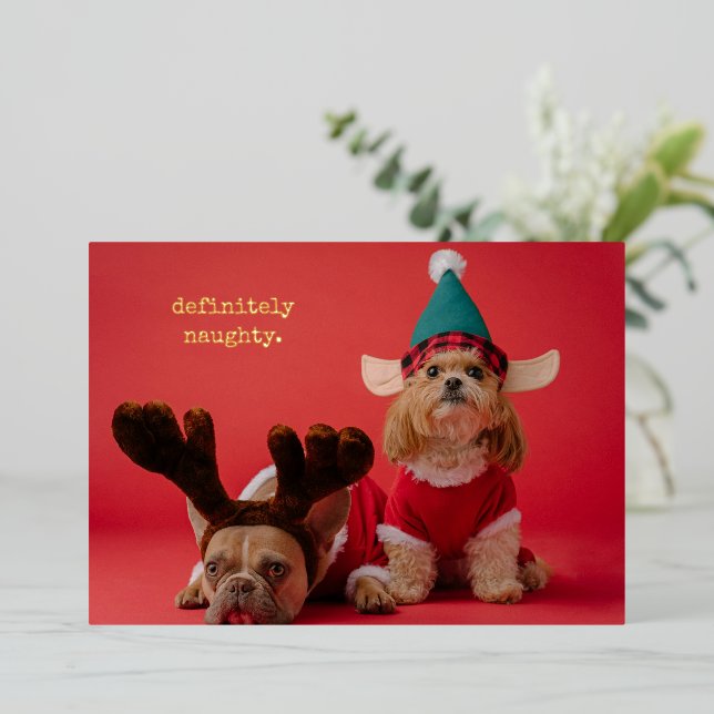 Definitely Naughty Pet Photo Cute Christmas Foil Holiday Card (Standing Front)