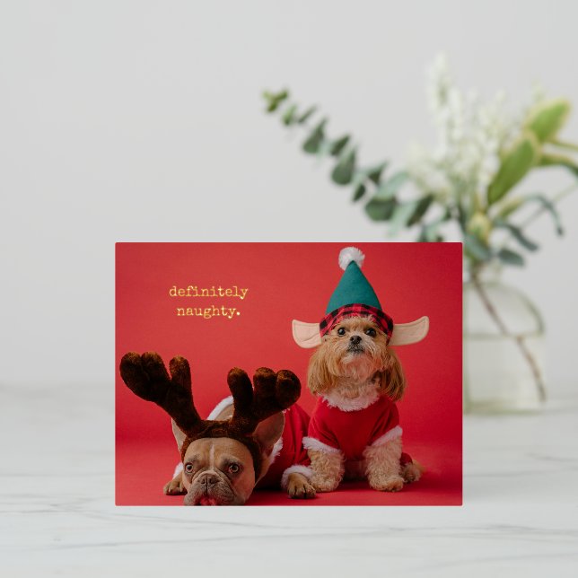 Definitely Naughty Pet Photo Cute Christmas Foil Holiday Postcard (Standing Front)
