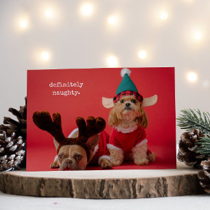 Definitely Naughty Pet Photo Cute Christmas Holiday Card