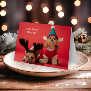 Definitely Naughty Pet Photo Cute Christmas Holiday Card