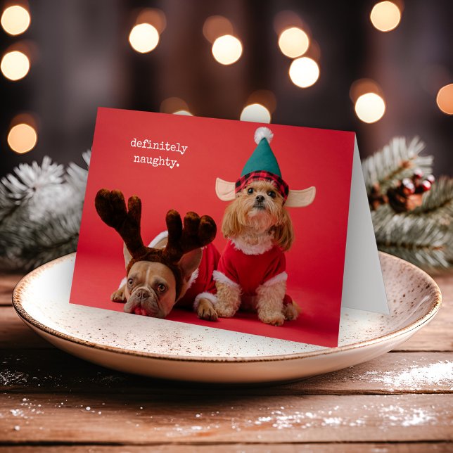 Definitely Naughty Pet Photo Cute Christmas Holiday Card (Creator Uploaded)