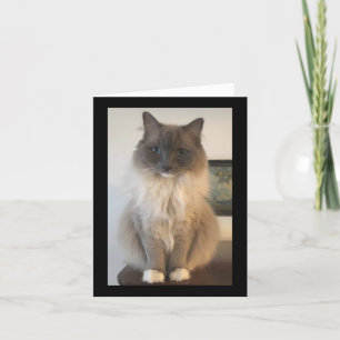 Definition  of CAT Card