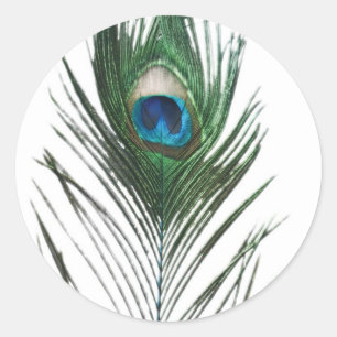 Defused Peacock Feather Classic Round Sticker
