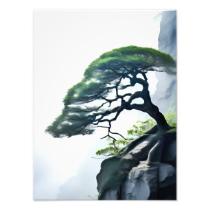 Defying the Odds: Bonsai Tree on the Cliff Photo Print
