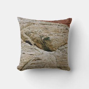 DEFYING THE ODDS, TREE BETWEEN DESERT ROCKS CUSHION