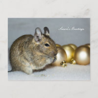 Degu & Baubles Season's Greetings