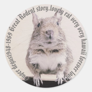 ♛ DEGU ♛ CLASSIC ROUND STICKER