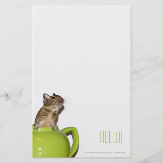 Degu in a Teapot 'Hello' Stationery (Front)