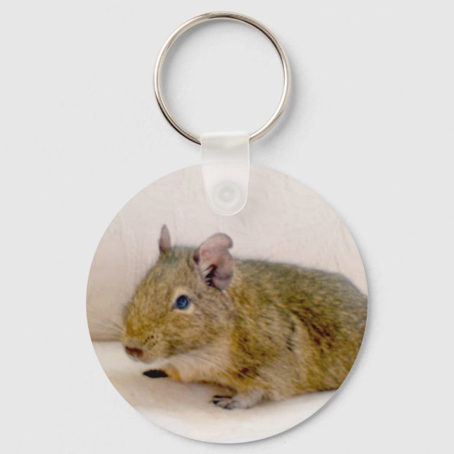 Degu Keychain (Front)