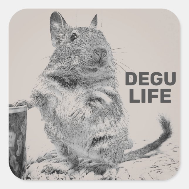 DEGU LIFE SQUARE STICKER (Front)