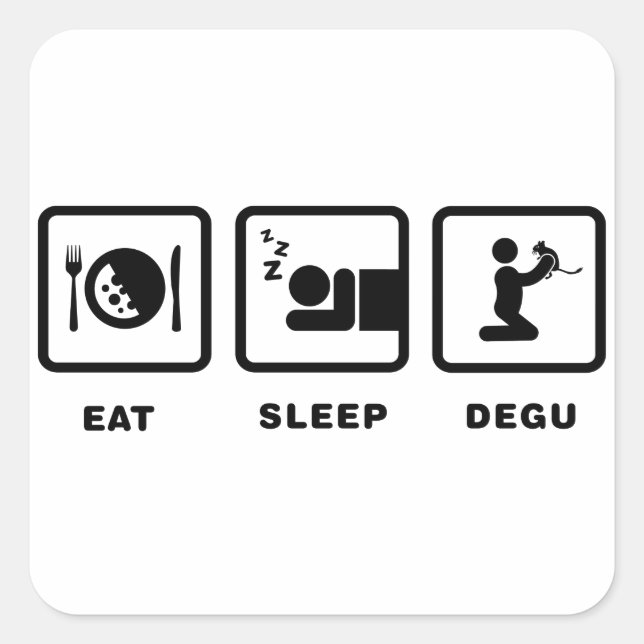 Degu Lover Square Sticker (Front)