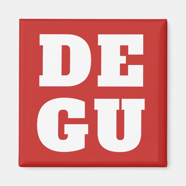 ⊿DEGU⊿ MAGNET (Front)