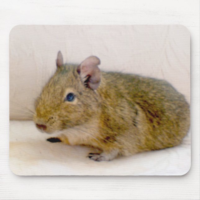 Degu Mousepad (Front)