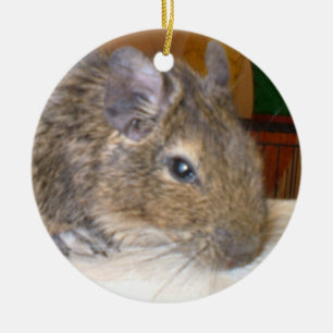 Degu Relaxing I Love Degus Ornament