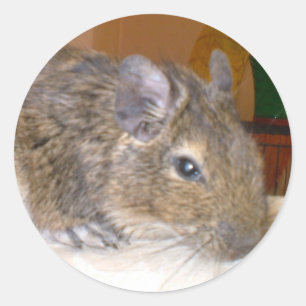 Degu Relaxing Sticker