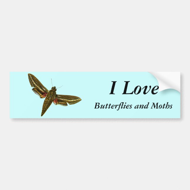 Deilephila celerio - Vine Hawk-Moth Bumper Sticker (Front)