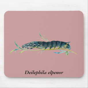 Deilephila elpenor caterpillar mouse pad