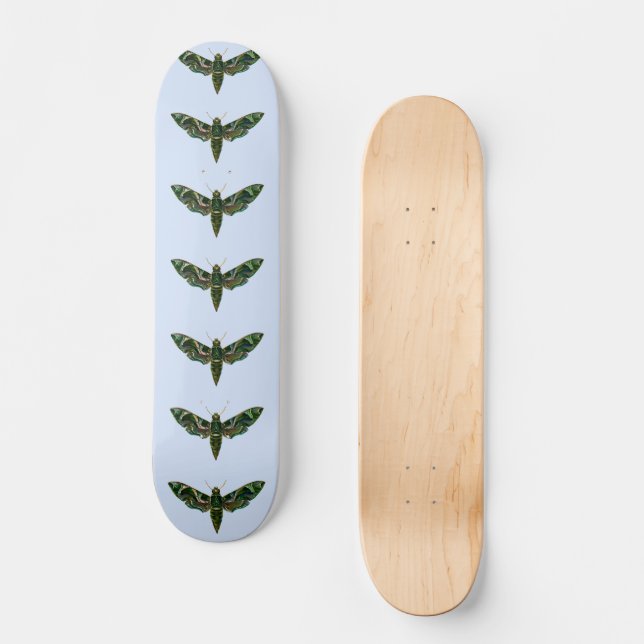 Deilephila Nerii - Oleander Hawk-Moth Skateboard (Front)