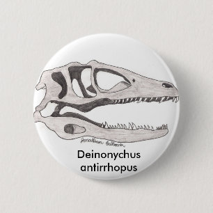 Deinonychus antirrhopus button