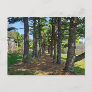 Deis Hill Park, Dover, Ohio Postcard