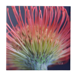 DEKO FLIESE "PROTEA" CERAMIC TILE