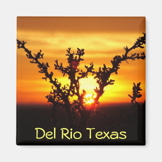 Del Rio Texas souvenirs desert brush sunset Magnet