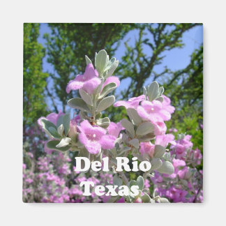 del rio texas souvenirs purple sage magnet