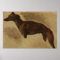 Delacroix - Levrier Presumably 1859