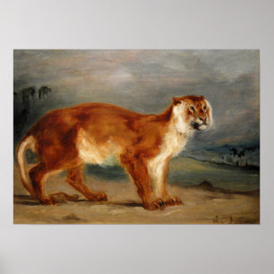 Delacroix - Lioness 1832 Poster