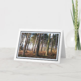 Delamere Forest Greetings Card