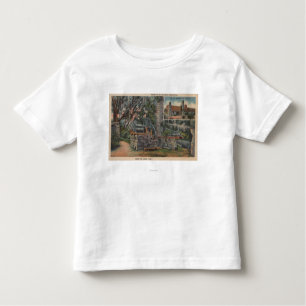 Deland, FL - Ruins of Old Spanish Sugar Mill Toddler T-Shirt