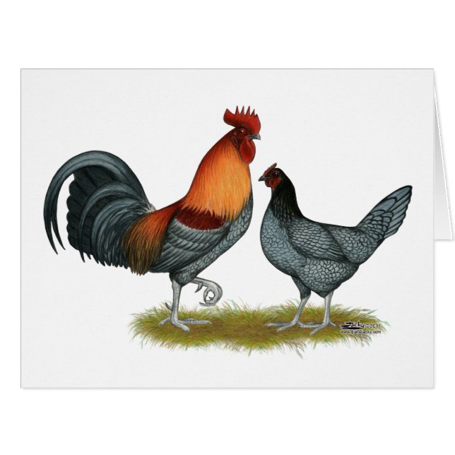 Delaware Blue Hen (Front Horizontal)