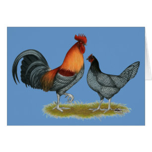 Delaware Blue Hen