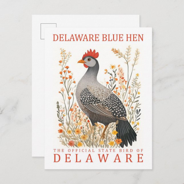 Delaware Blue Hen Bird of Delaware USA Travel Postcard (Front/Back)