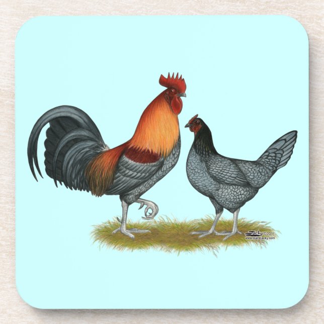 Delaware Blue Hen Coaster (Front)