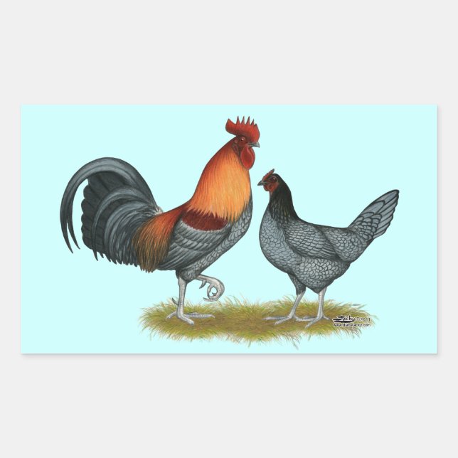 Delaware Blue Hen Rectangular Sticker (Front)