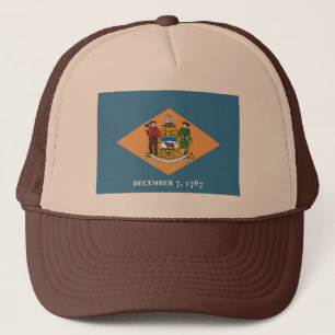 Delaware Flag Hat