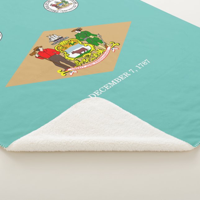 Delaware flag sherpa blanket (3/4)