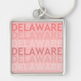 Delaware Key Ring