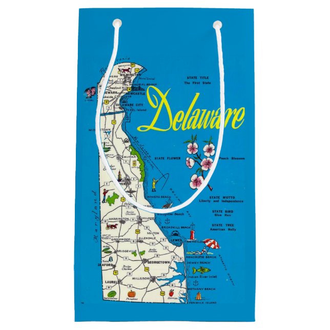 Delaware Map Small Gift Bag (Front)