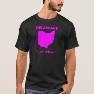 Delaware - Now What? T-Shirt