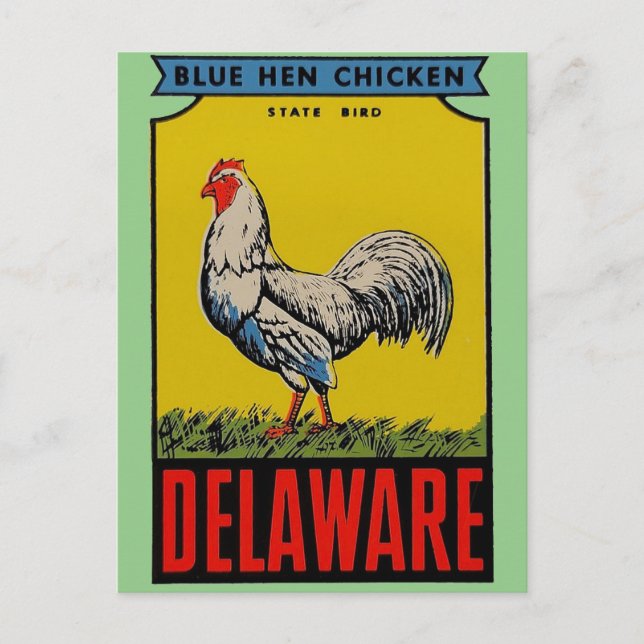 Delaware State Bird Postcard (Front)