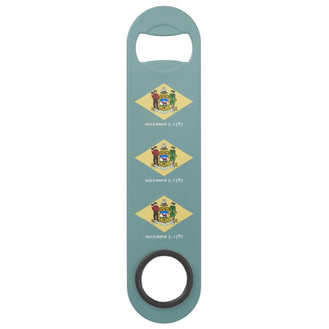 Delaware State Flag (Front)