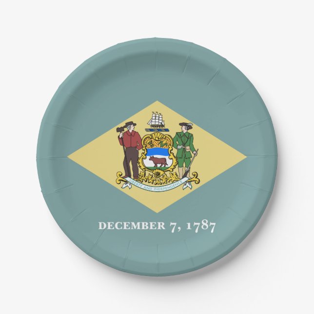 Delaware State Flag Paper Plate (Front)