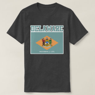 Delaware State Flag T-Shirt