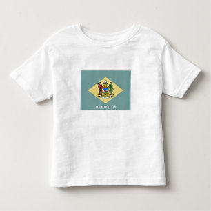 Delaware State Flag Toddler T-Shirt